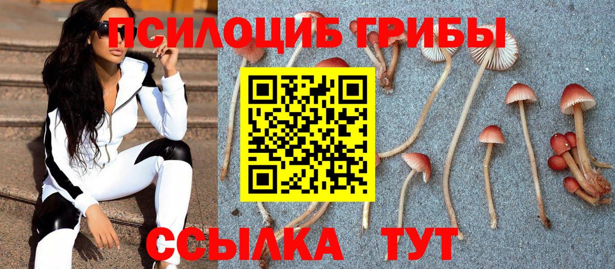 Псилоцибиновые грибы MAGIC MUSHROOMS Ржев